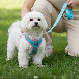 NEW Pink & Blue Medium Dog Harness & Leash Set Reflective Adjustable Breathable